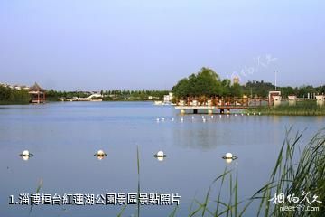 淄博桓台紅蓮湖公園景區照片