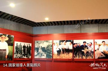 安徽中國稻米博物館-國家領導人照片