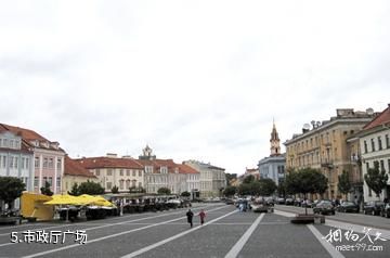 立陶宛维尔纽斯市-市政厅广场照片
