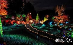 加拿大布查特花园旅游攻略之冬季灯展
