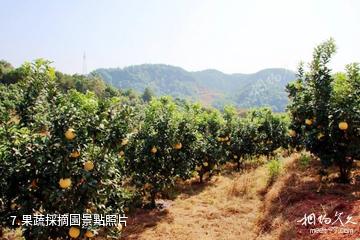 吉安雲天麓谷景區-果蔬採摘園照片