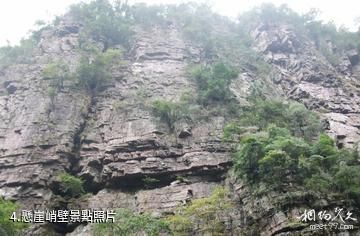 桂平龍潭國家森林公園-懸崖峭壁照片