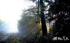 麗水白雲山森林公園旅遊攻略之晨曦