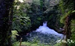 新西兰罗托鲁阿旅游攻略之欧卡雷瀑布风景保护区