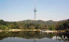 青島銀海國際遊艇俱樂部旅遊攻略之觀光塔