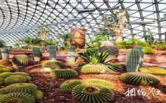 上海辰山植物园旅游攻略之沙生植物馆