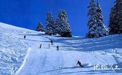 长春莲花山滑雪场旅游攻略之滑雪