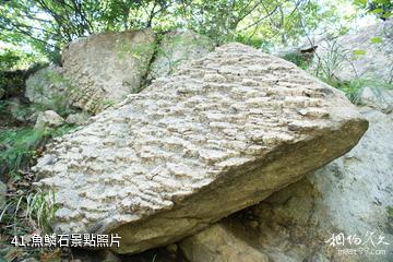 平度大澤山風景區-魚鱗石照片