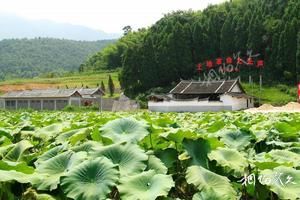 福建龍岩新羅東肖旅遊景點大全