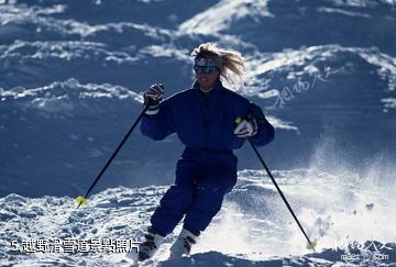 哈爾濱玉泉國際狩獵場-越野滑雪道照片