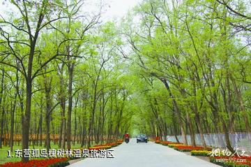 东营孤岛槐树林温泉旅游区照片