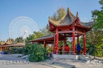 涼州植物園-遊樂園照片