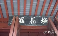 上海古猗园旅游攻略之梅花厅
