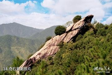 安慶白崖寨風景區-奇石照片