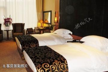南京紫清湖生態旅遊溫泉度假區-客房照片