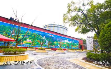 南昌方大特鋼工業旅遊景區-櫻花園照片