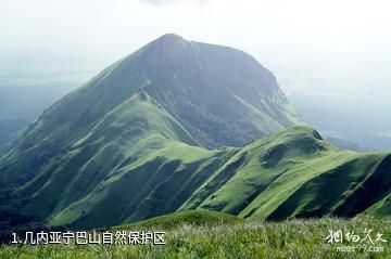 几内亚宁巴山自然保护区照片