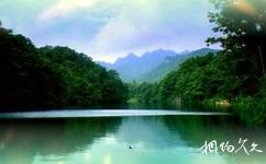 洛阳嵩县天池山国家森林公园旅游攻略之天池景区