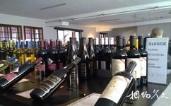 瑞士拉沃葡萄園旅遊攻略之拉沃酒庄博物館