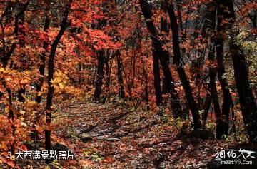 丹東鳳城雞冠山景區-大西溝照片