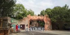 和田无花果王景区驴友相册