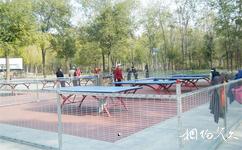 沈阳怒江公园旅游攻略之乒乓球场地