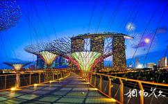 新加坡滨海湾花园旅游攻略之空中走廊