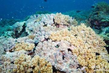 海南三亚珊瑚礁国家级自然保护区-珊瑚礁照片
