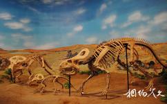 內蒙古博物院旅遊攻略之史前動物骨架
