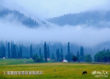 新疆伊犁庫爾德寧風景區-庫爾德寧草原照片