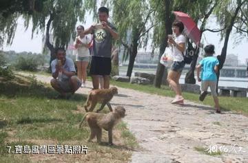 安丘青雲湖休閑度假樂園-寶島風情區照片