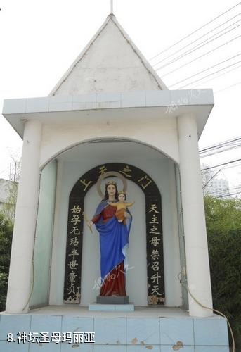 上海董家渡天主教堂-神坛圣母玛丽亚照片