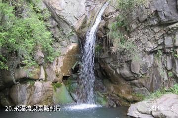 漢中天台森林公園-飛瀑流泉照片