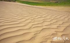 敦煌陽關國家級自然保護區旅遊攻略之沙地