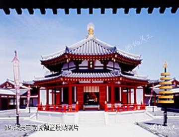日本藥師寺-玄奘三蔵院伽藍照片