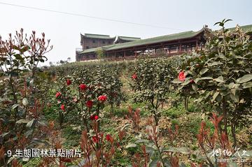 重慶巴南中泰天心佛文化旅遊區-生態園林照片