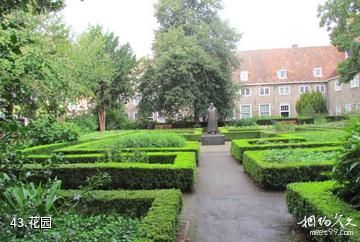 荷兰代尔夫特市-花园照片