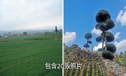 彌勒錦屏山風景區驢友相冊