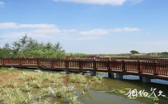 富平石川河生態公園旅遊攻略之木棧道