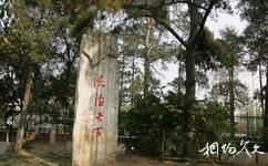 中國政法大學校園概況之法治天下