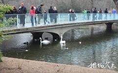 倫敦聖詹姆斯公園旅遊攻略之藍橋