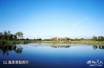 大慶黑魚湖生態景區-風景照片