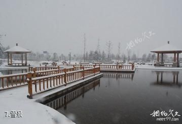 栾城樱花公园-雪景照片