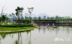 苏州金鸡湖旅游攻略之白塘生态植物园