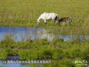 鎮賚莫莫格國家級自然保護區-萬寶山草原民俗風情景區照片