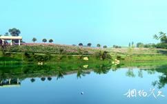 銅梁黃桷門奇彩夢園旅遊攻略之景觀湖