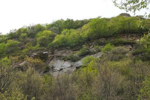 河北石家莊井陘營里旅遊攻略-營里鄉景點排行榜