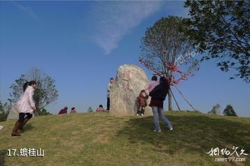 漯河市许慎文化园景区-蟾桂山照片