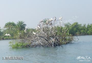 香橙群島國家公園-鳥類照片