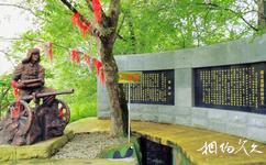 黑龙江珍宝岛旅游攻略之英雄树